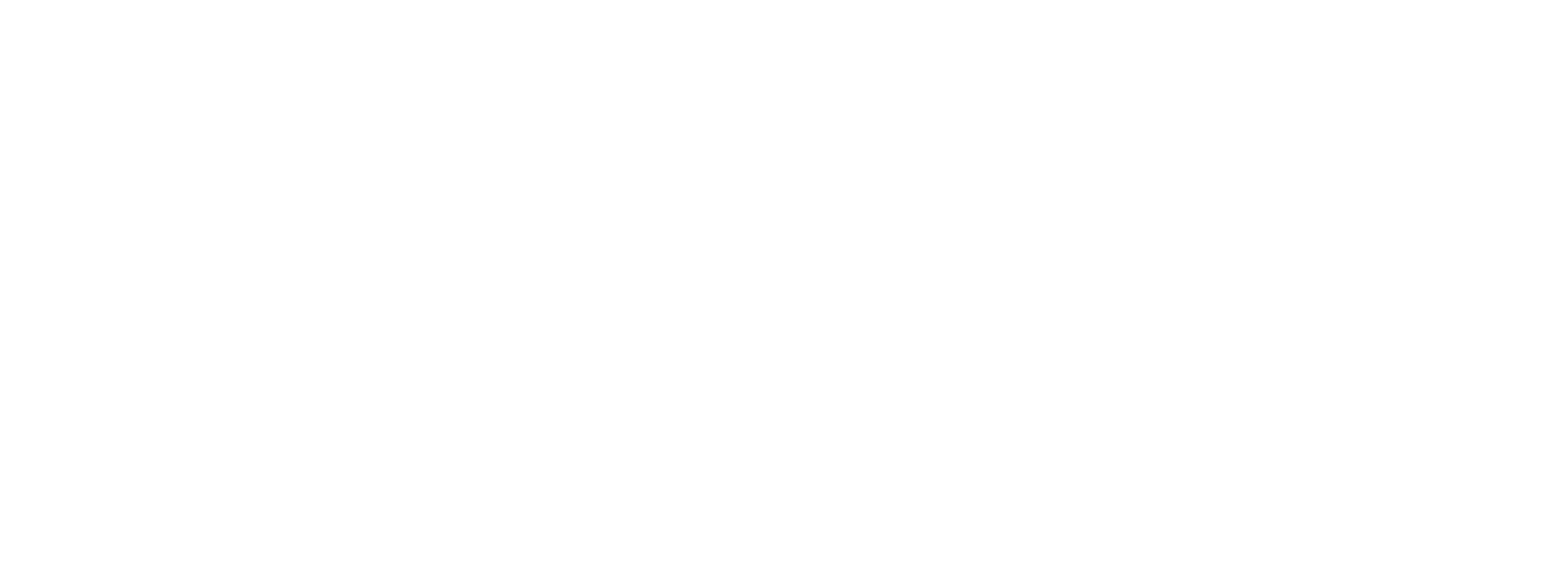 Logo UbiVet en blanco completo